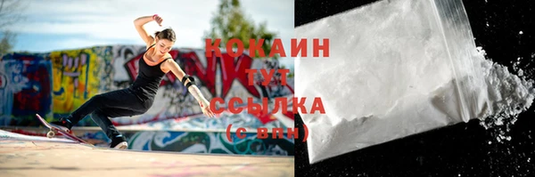шишки Арсеньев