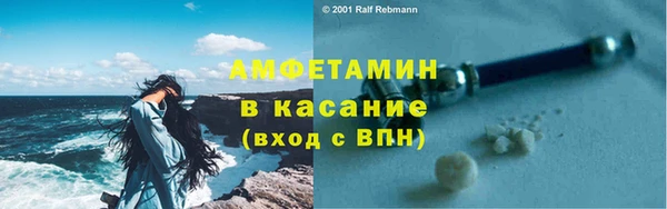 шишки Арсеньев