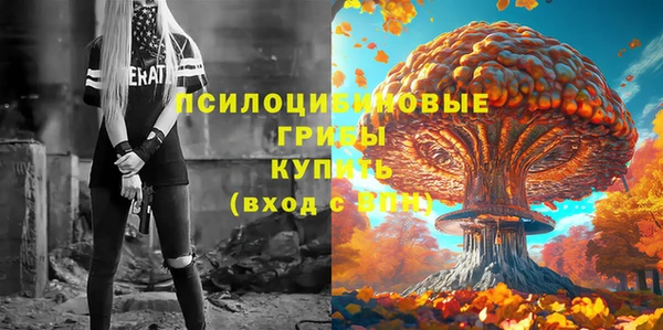 шишки Арсеньев
