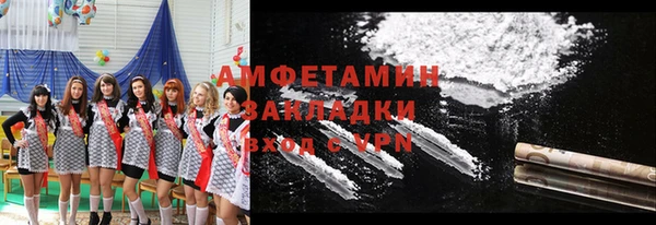 шишки Арсеньев