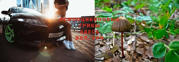 наркотики Новый Уренгой