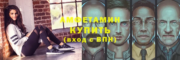 шишки Арсеньев